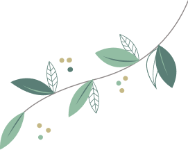 vector