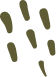 Vector