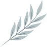 Vector