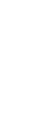 vector